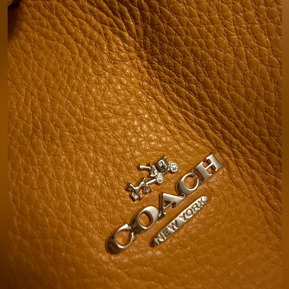 Upcrafted Coach black cat Pheobe Orange - Picture 7 of 15